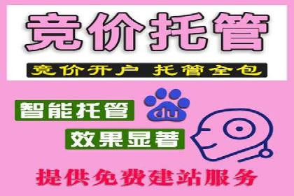 某企业选择SEM外包公司的决策与成果展示